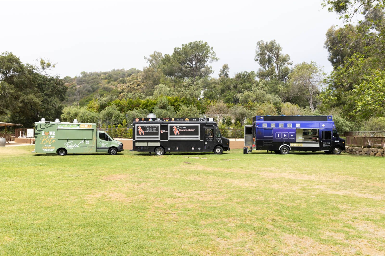 Three food trucks are parked in a grassy field.