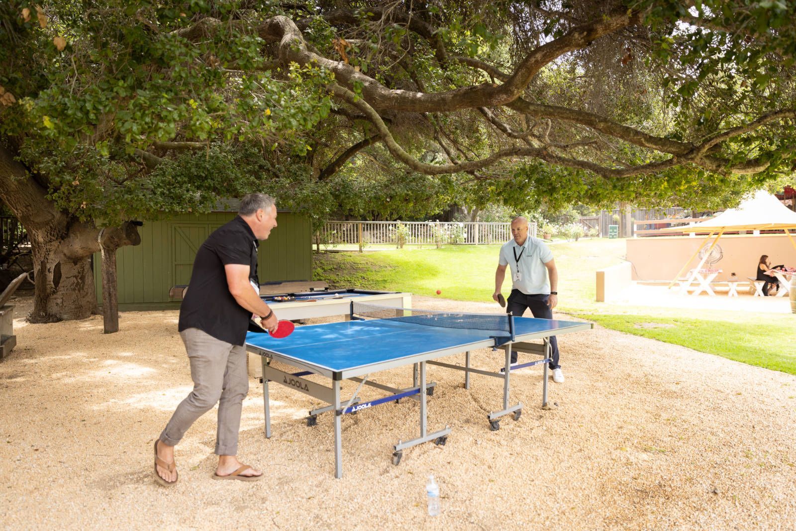 Two men are playing ping pong on a table outside under a tree.