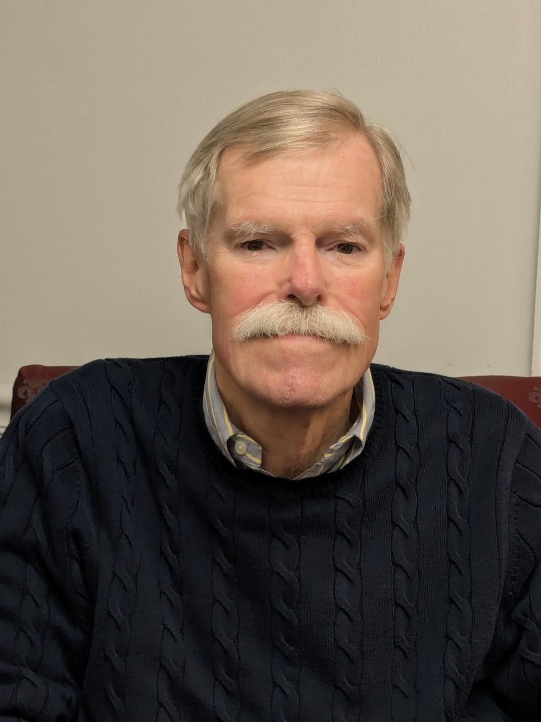 A man with a mustache is wearing a blue sweater
