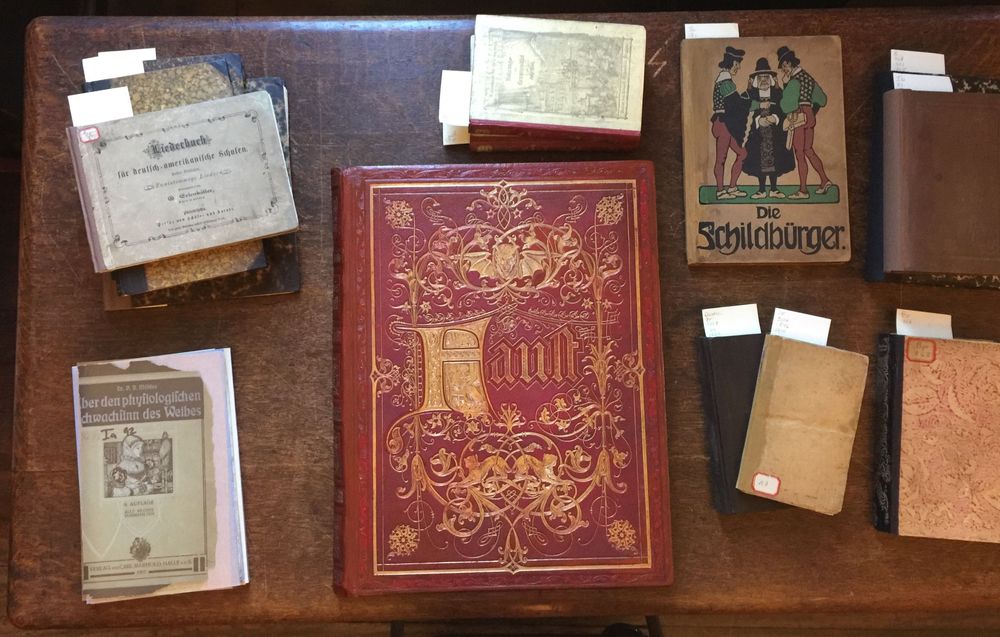 A collection of books on a shelf including a book called the schlachtunger
