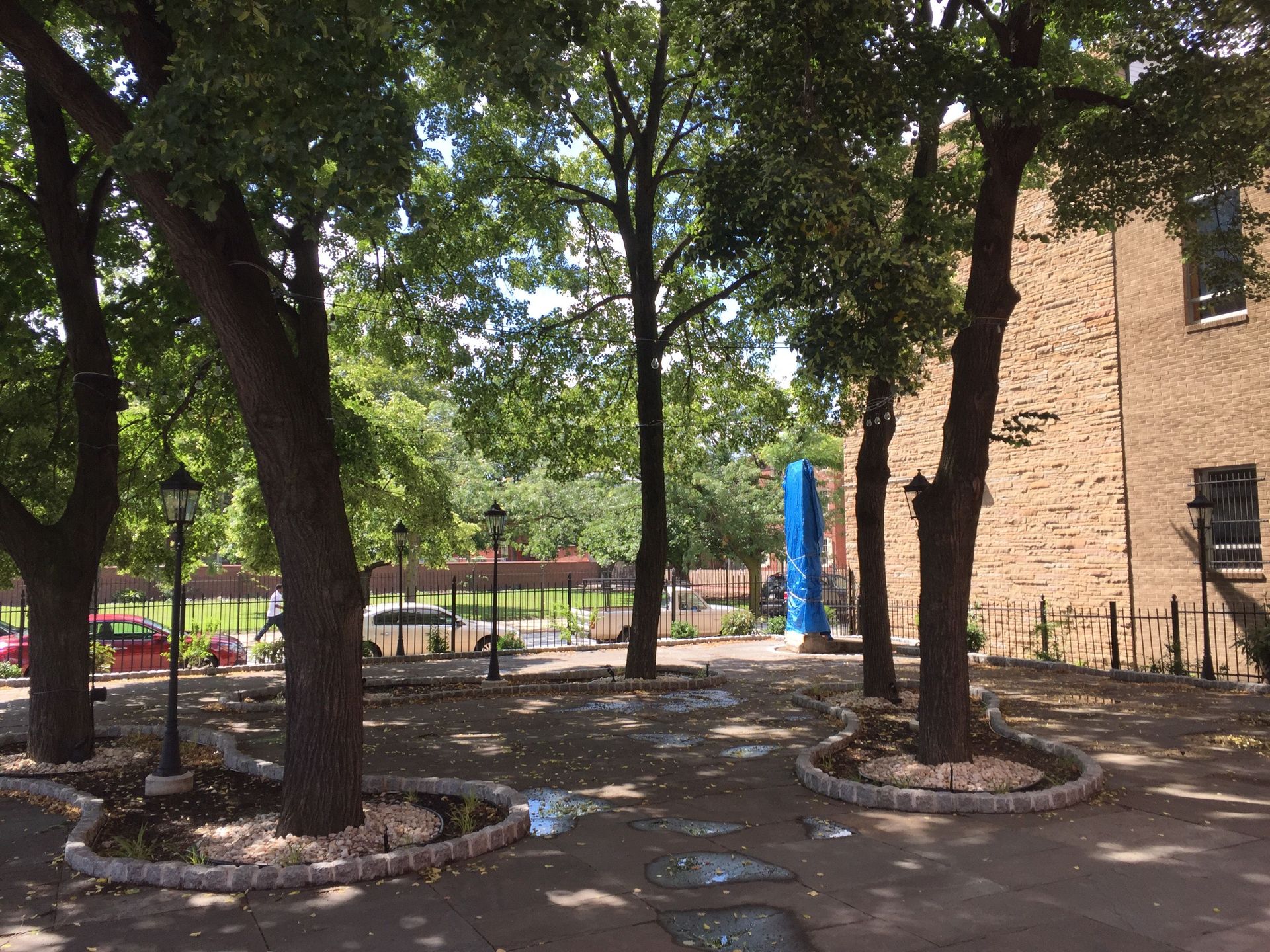 A row of trees in a park with a building in the background