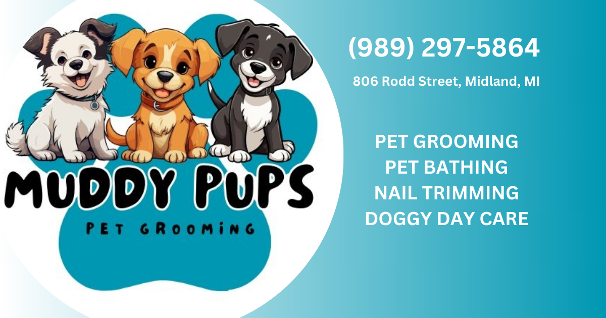 Premier Pet Grooming Excellence Muddy Pups Midland Michigan