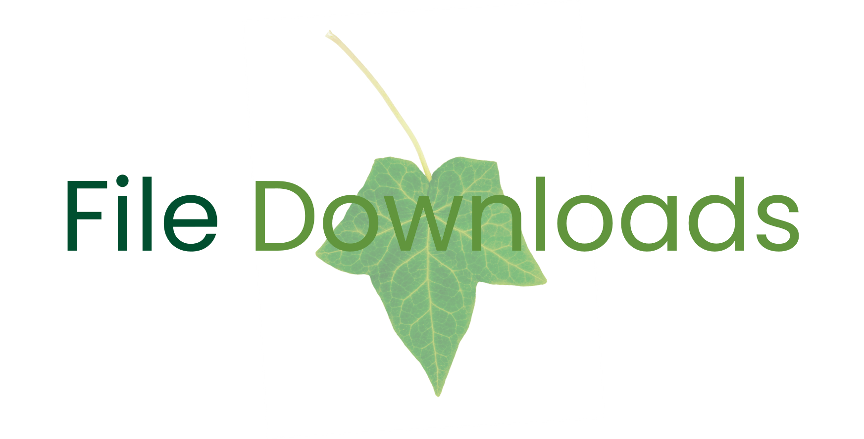 Download Documents page for important information