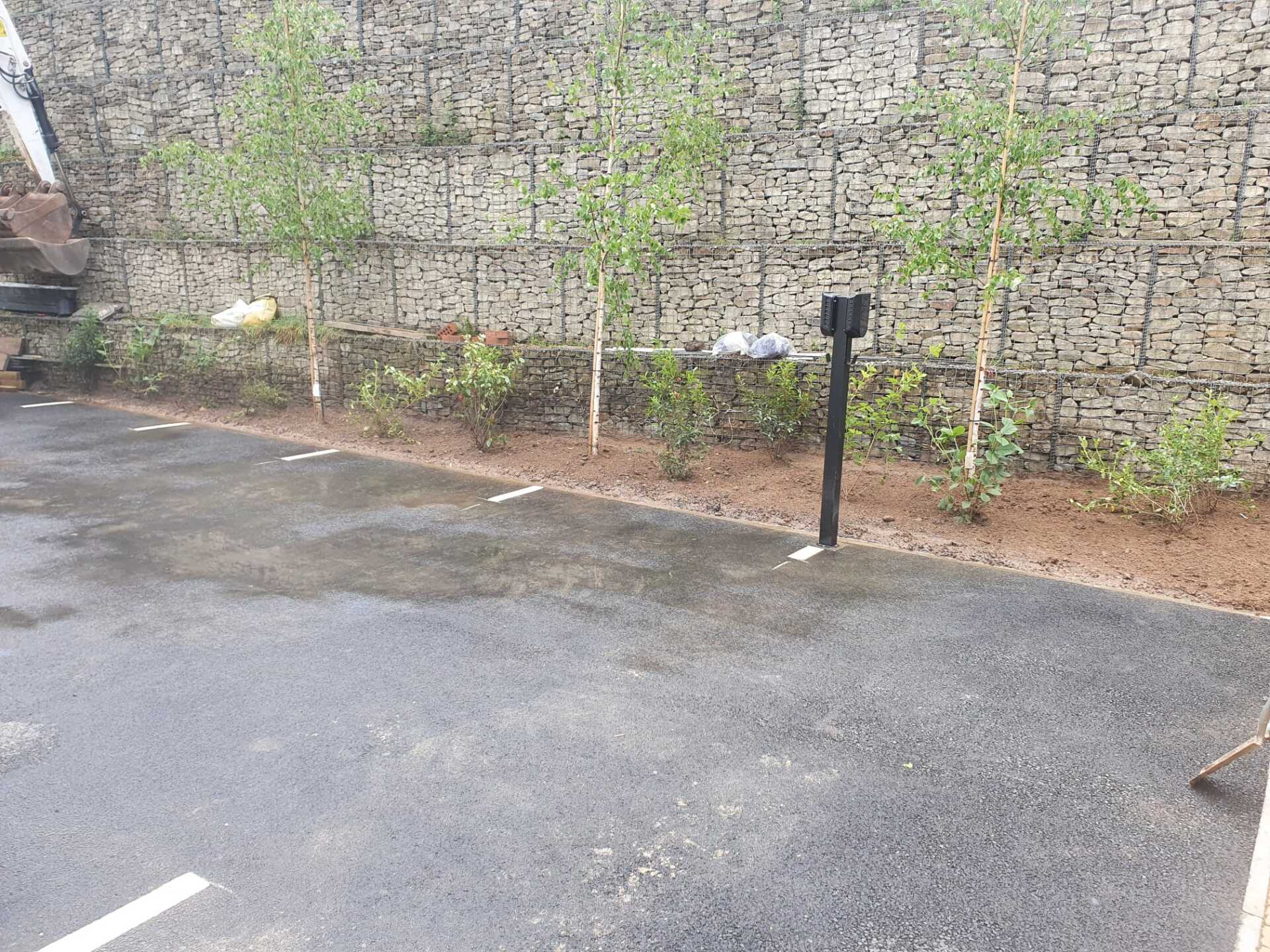 Plants and trees installed for our client in Manchester