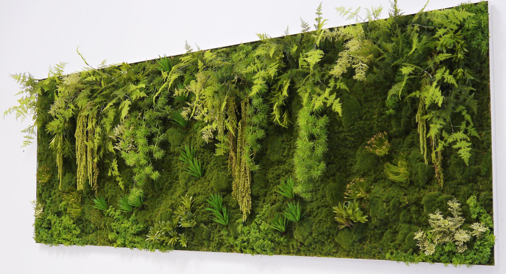 Installation of a moss wall on an office wall