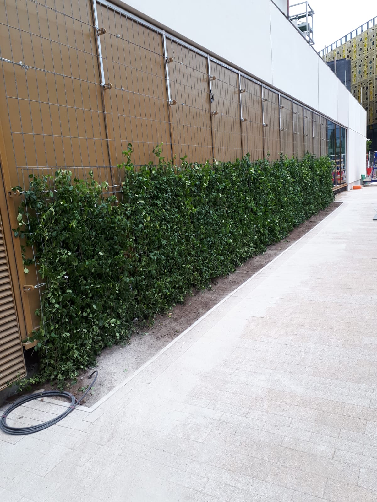 Mobilane green screens installed using a cabling method to an existing structure