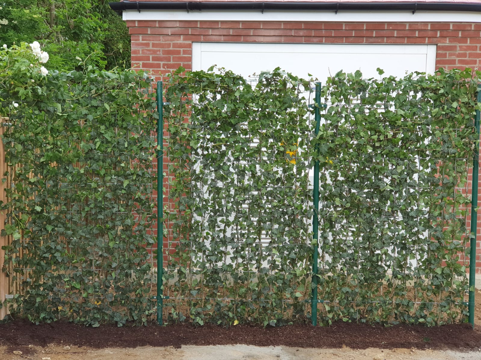 Green screens fitted to powder coated steel posts and installed to hide an electrical substation