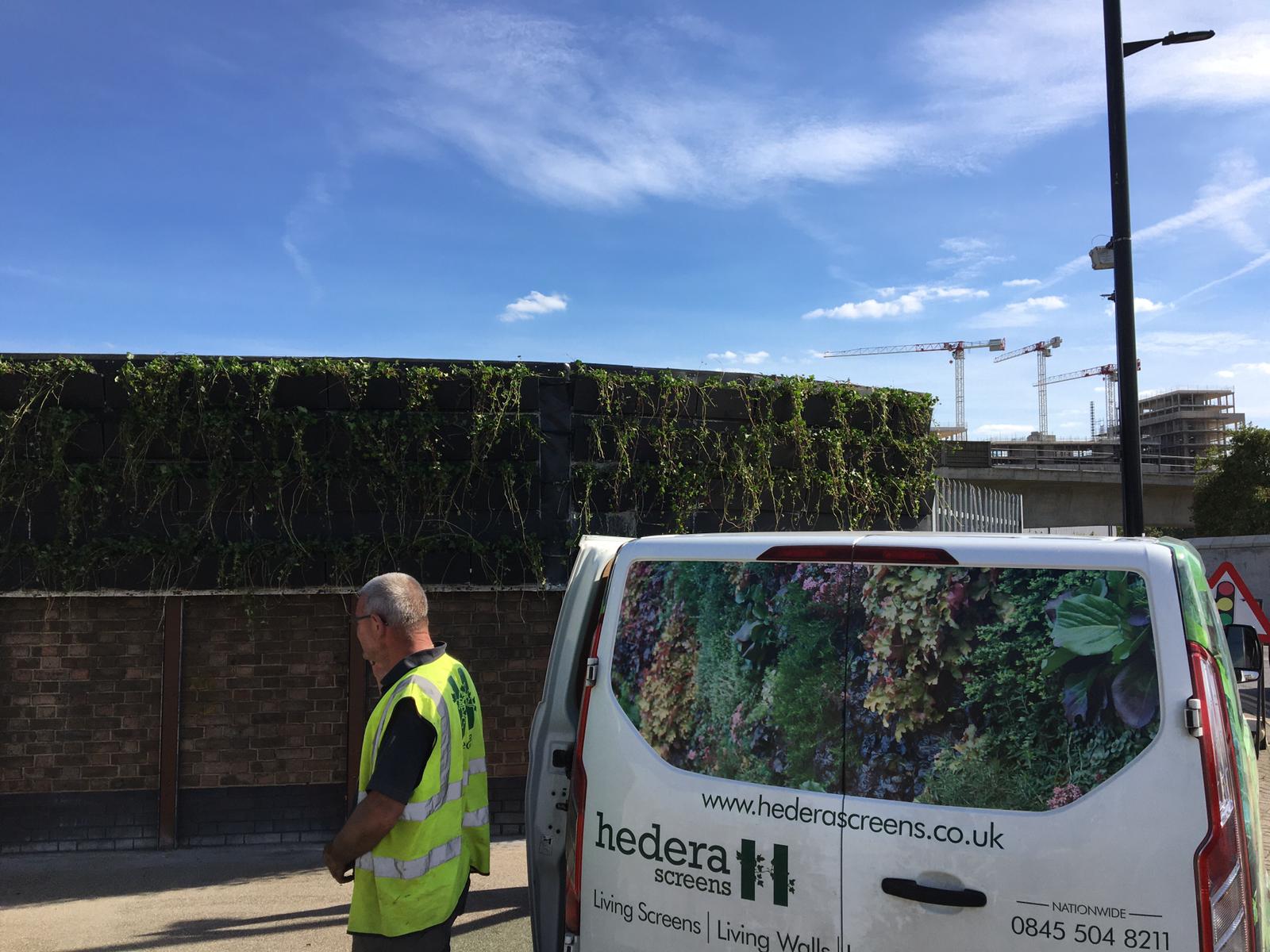 Living wall replant with irrigation and aftercare maintenance