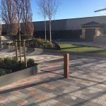 A soft landscaping project in London to include mature trees, planters and plants