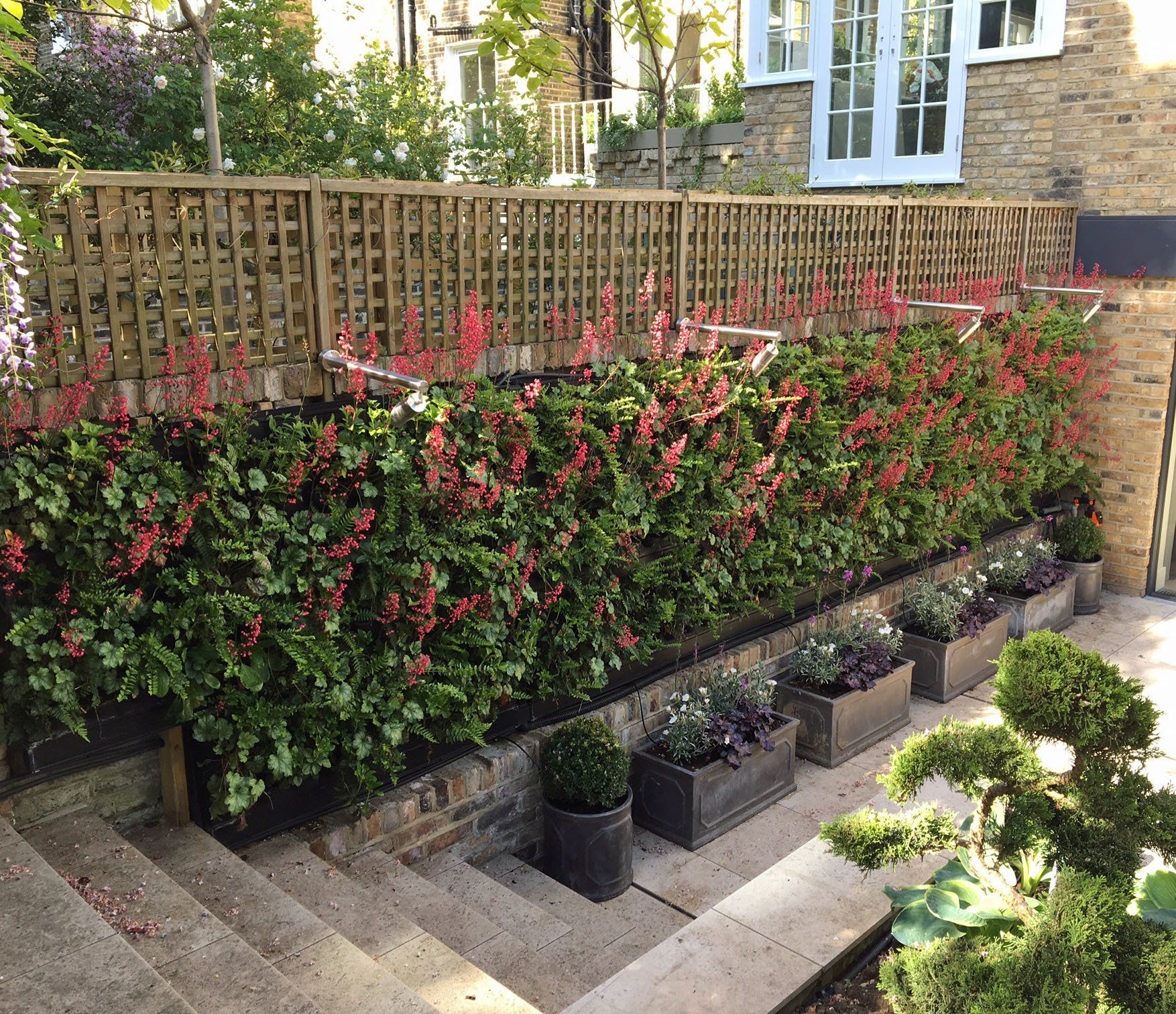 We also provide an after care maintenance programme as an additional extra service