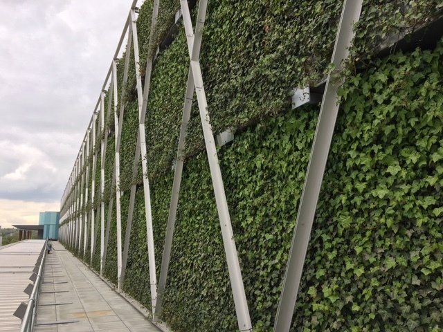 An installation of a Wallplanter living wall at a multi storey