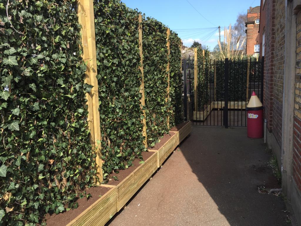 Green screens in planter boxes installed the whole perimeter of a Walthamstow primary school.