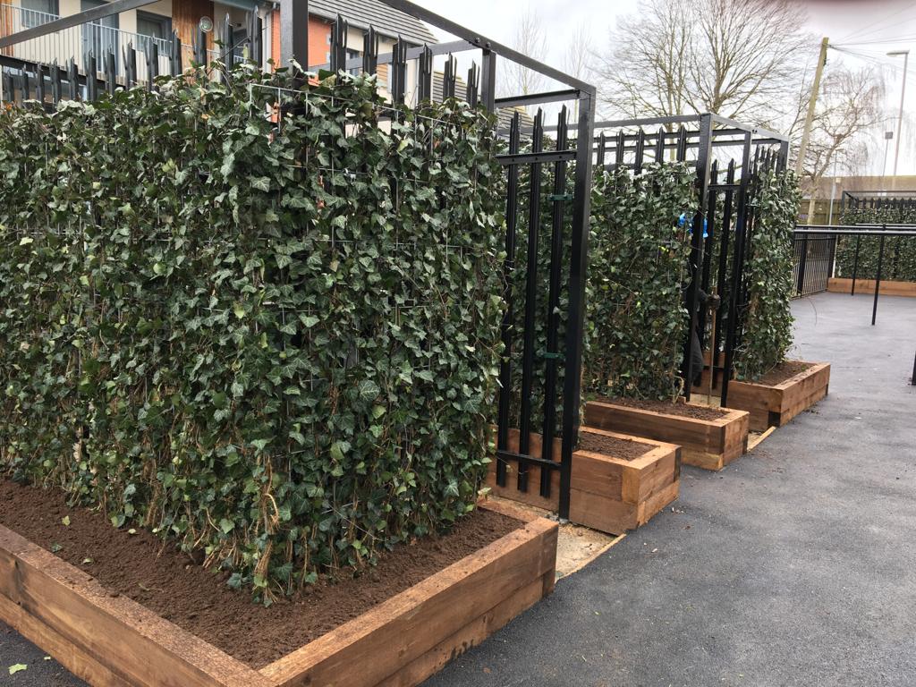 Green screens planted in sleeper beds, using our cabling method to disguise an ugly bin store.