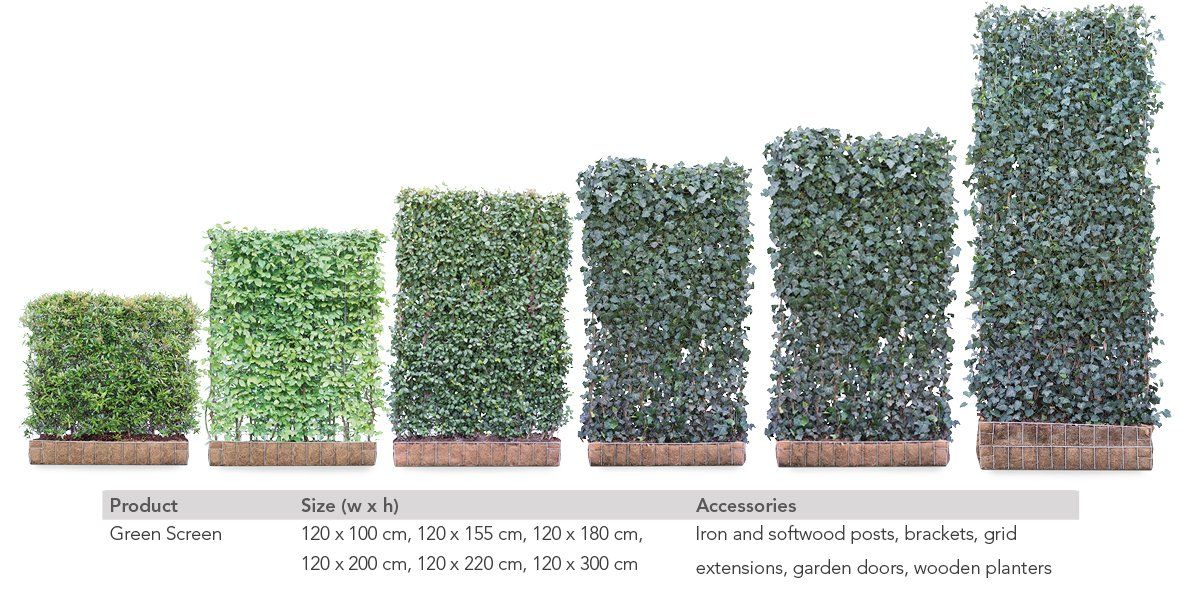 Example heights  and species of mobilane living green screens
