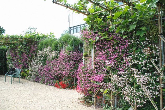 We supply and install bespoke pop up gardens