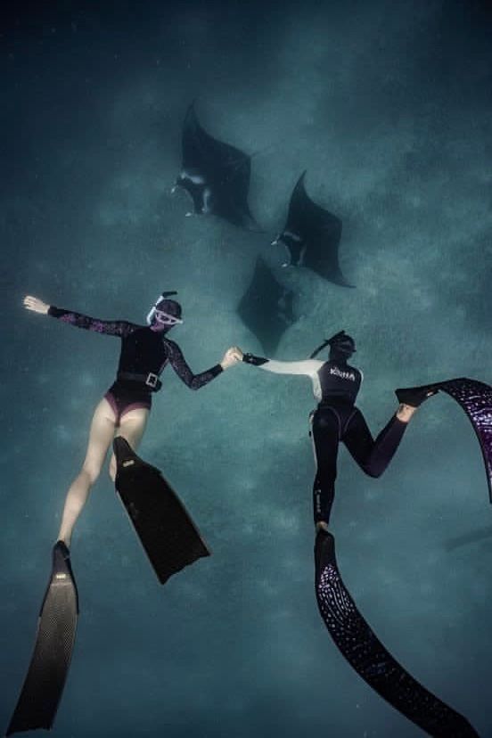 Two people are holding hands while freediving in the ocean to see the manta rays.