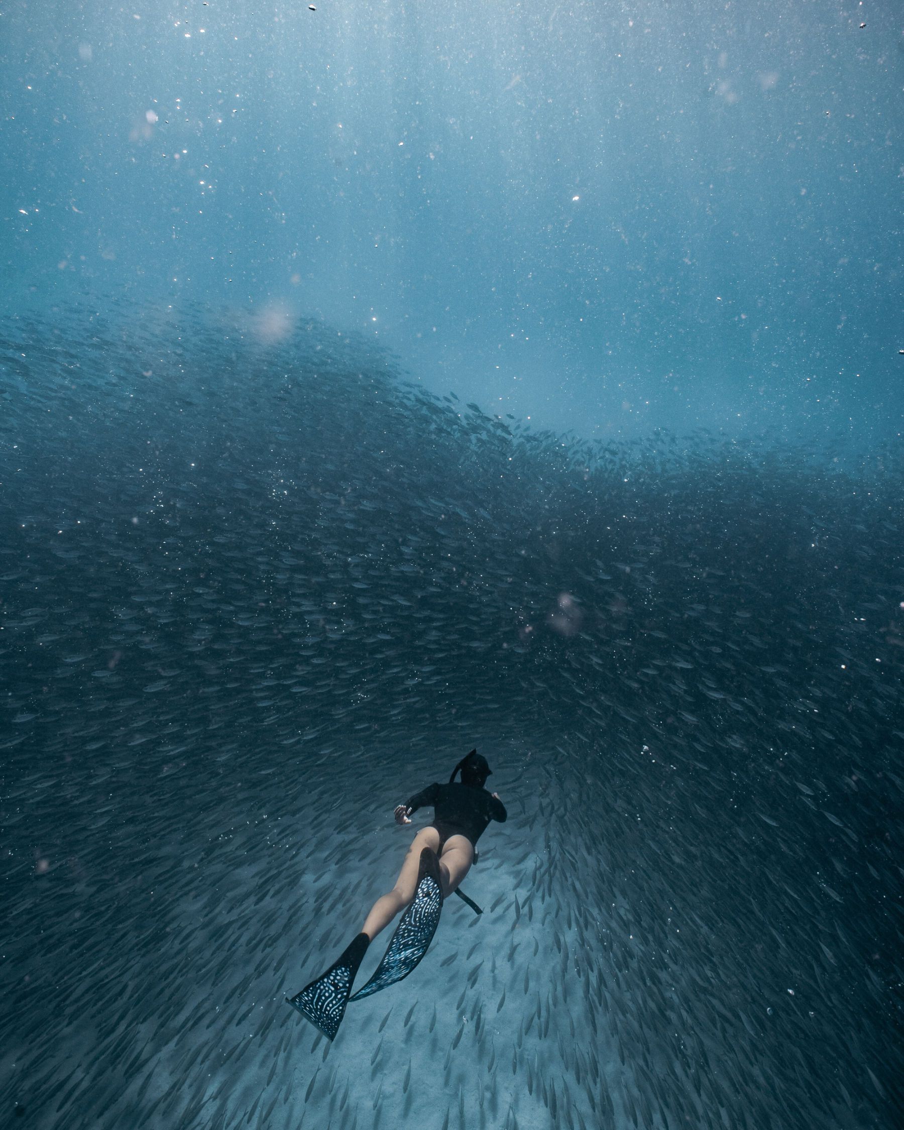 Jules of the Sea gallery photo 5