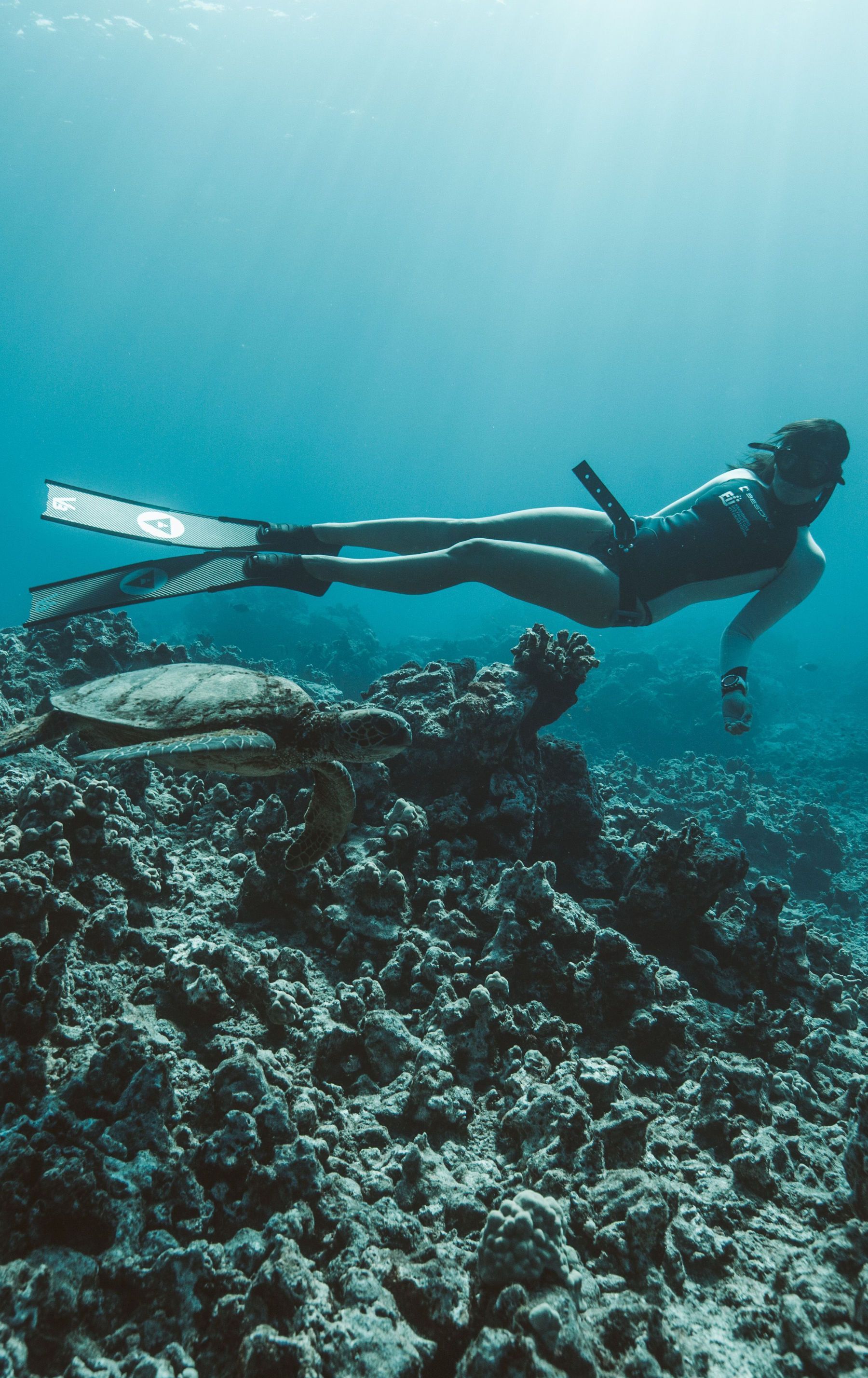 A woman is freediving in the ocean near a turtle.