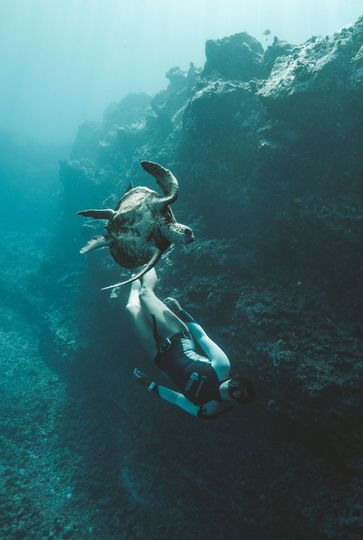 A woman is freediving with a sea turtle in the ocean.