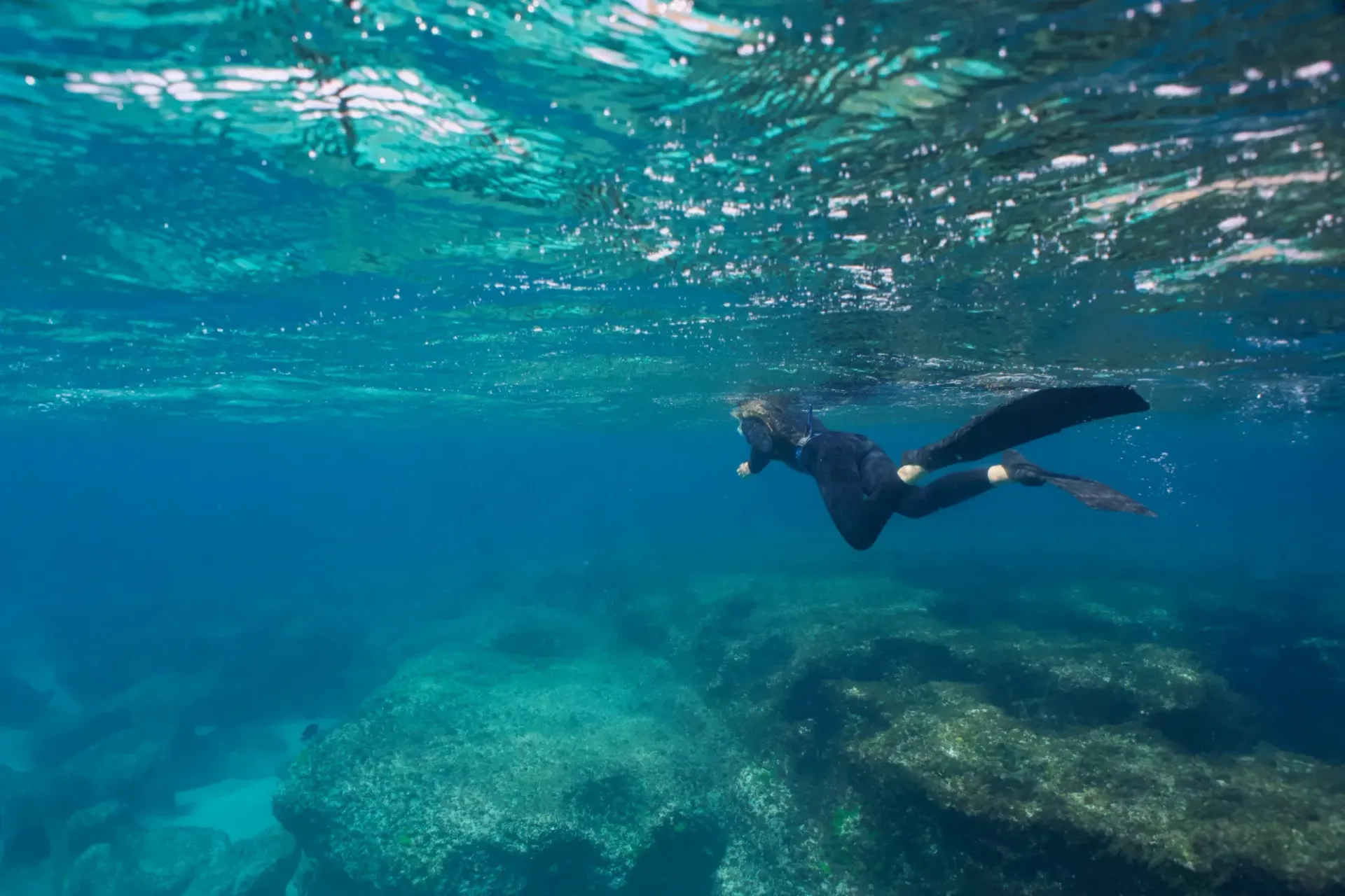 A person is freediving in the ocean near a coral reef.
