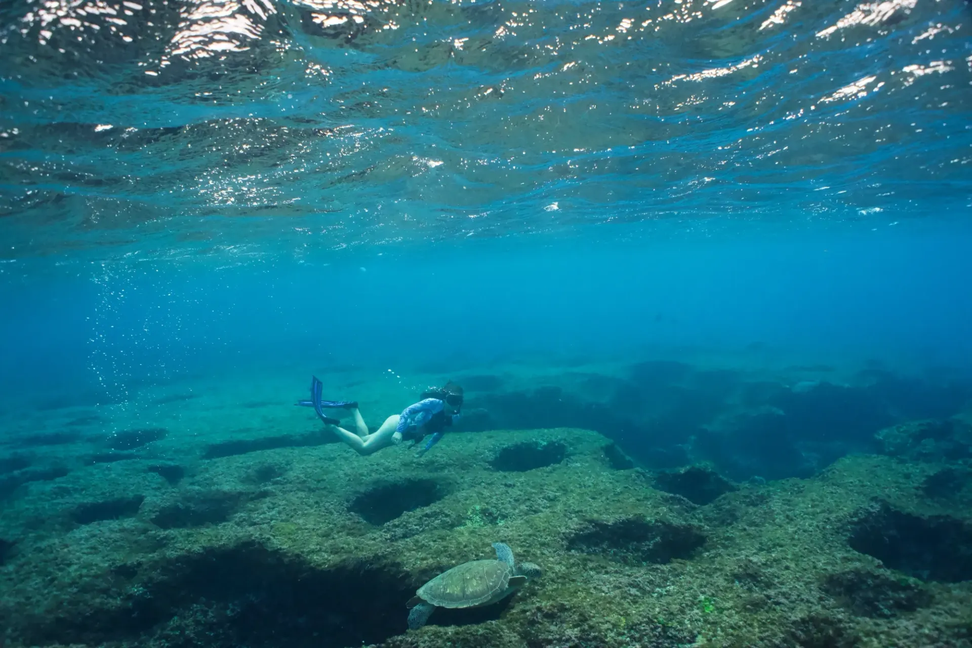 A person is freediving in the ocean near a turtle.