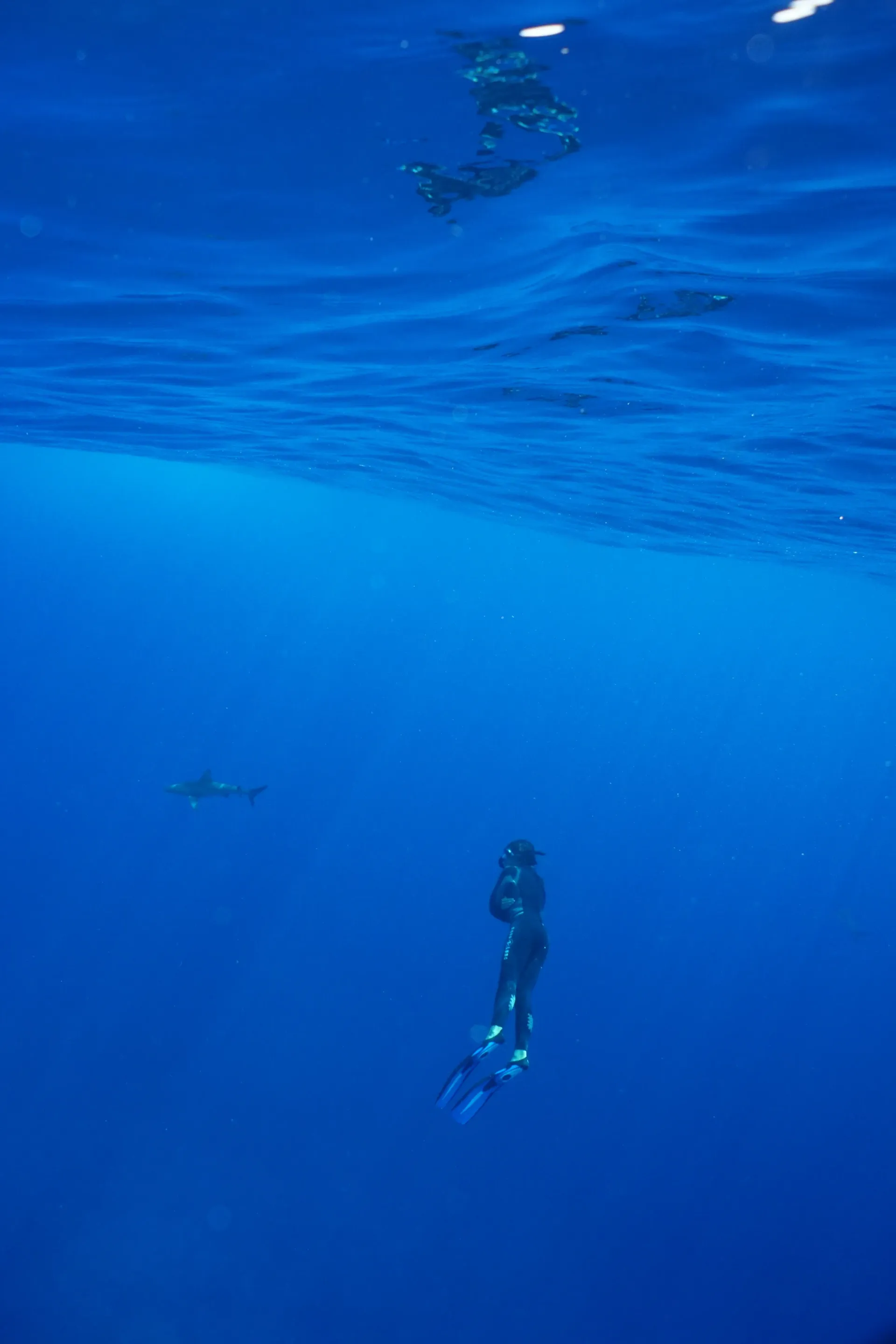 A person issfreediving in the ocean with a shark in the background.