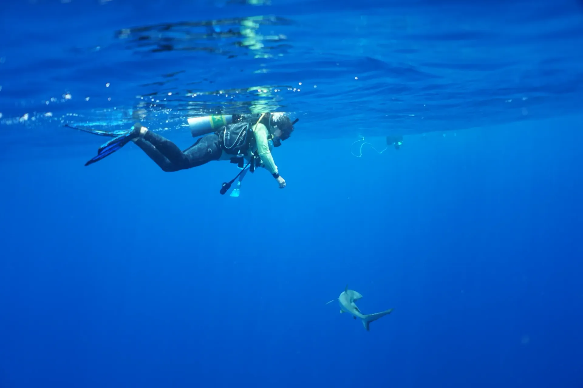 A scuba diver is swimming in the ocean with a fish.