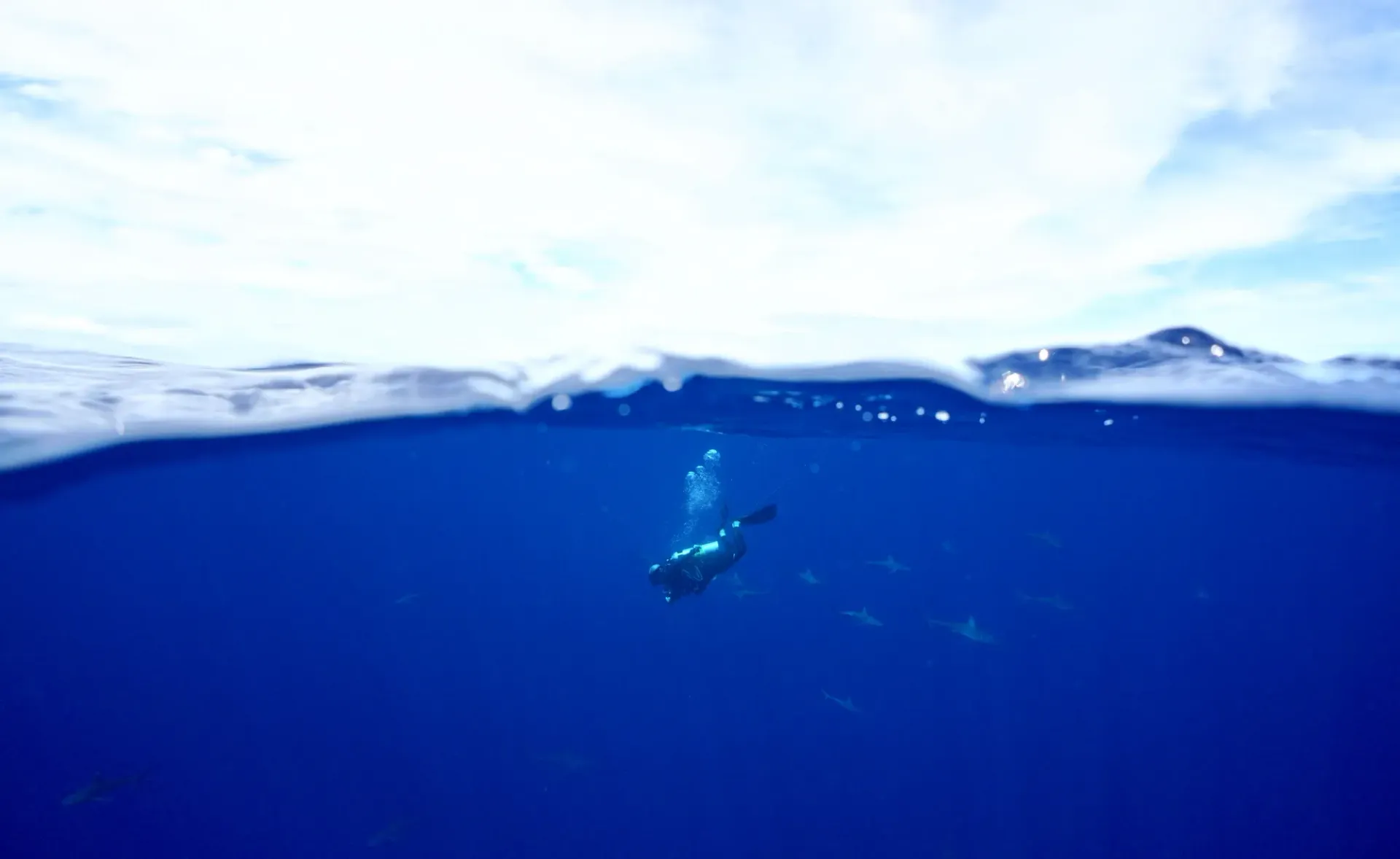 A freediver is swimming in the ocean.