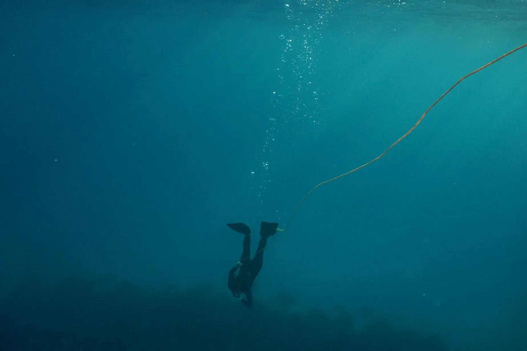 A freediver is swimming in the ocean with a rope attached to him.
