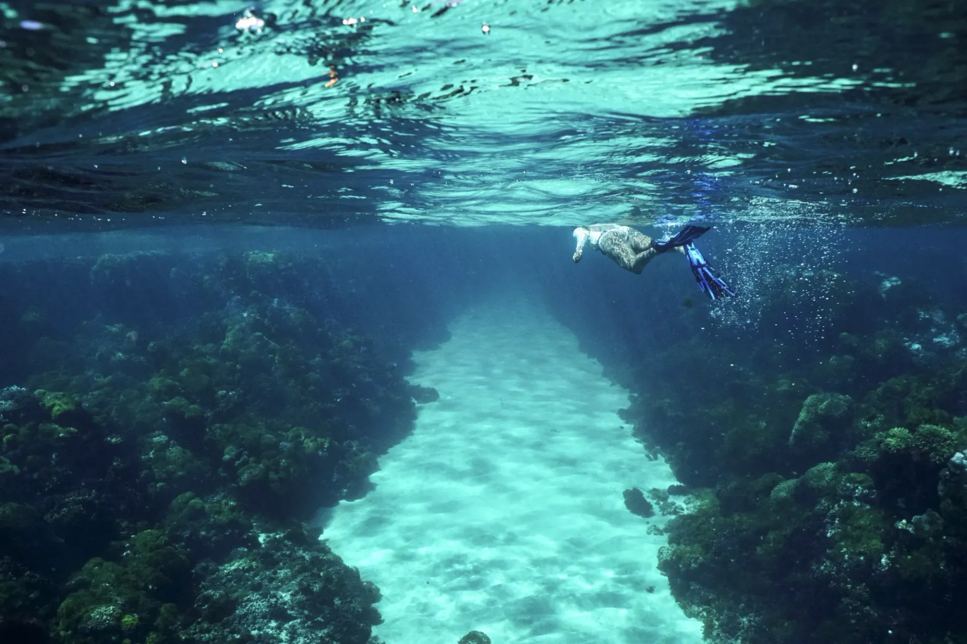 A person is freediving in the ocean near a coral reef.