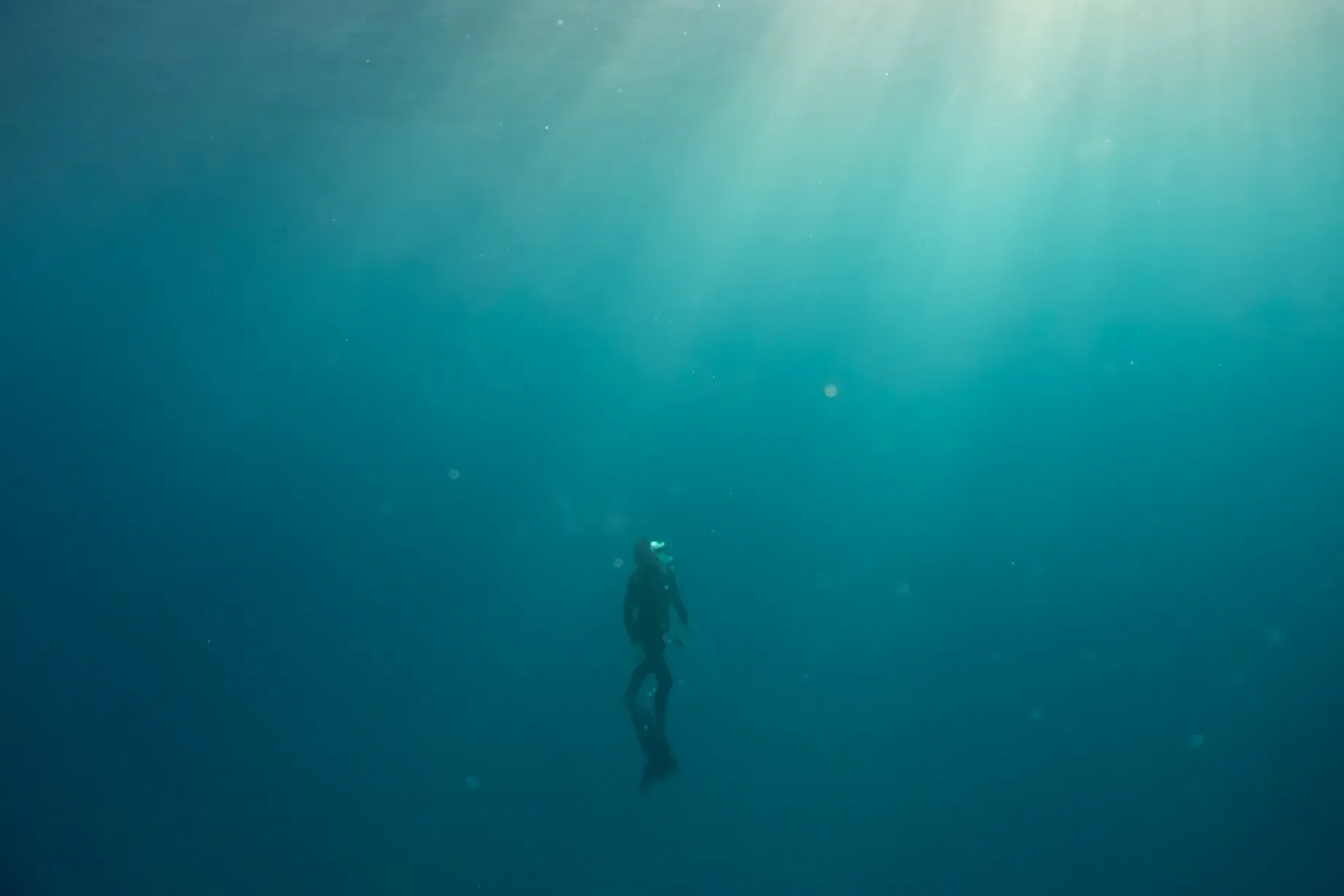 A freediver is swimming in the ocean with the sun shining through the water.