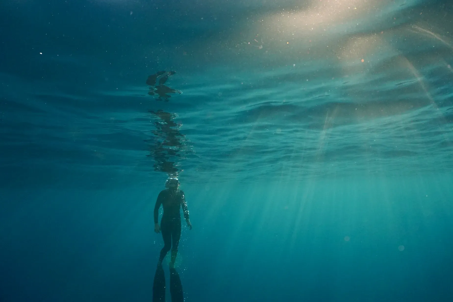 A person is freediving underwater in the ocean.