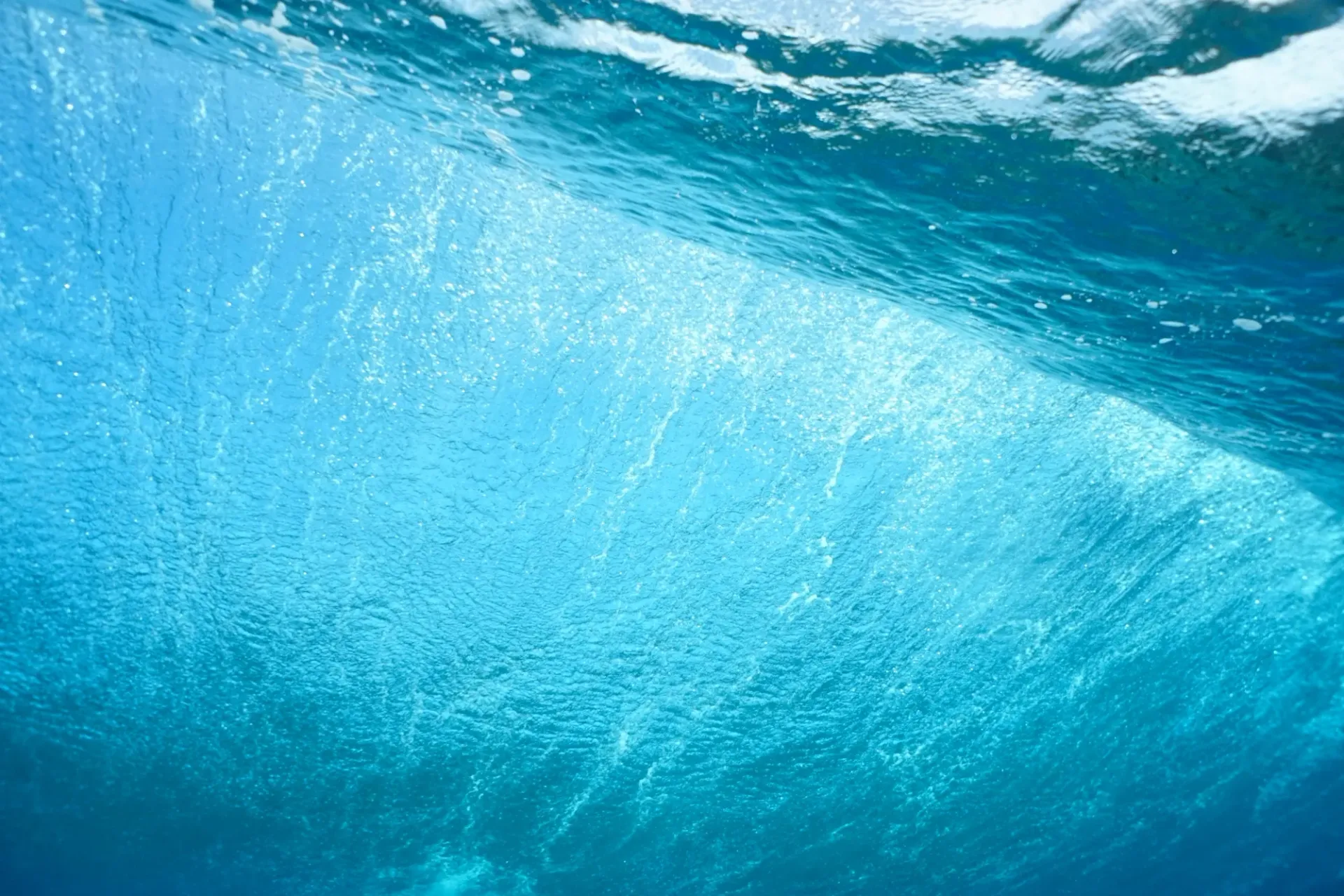 A wave is breaking in the ocean and the sun is shining through the water.