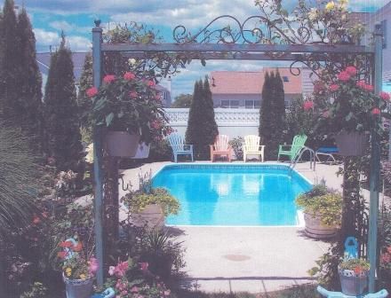 A large swimming pool is surrounded by flowers and chairs