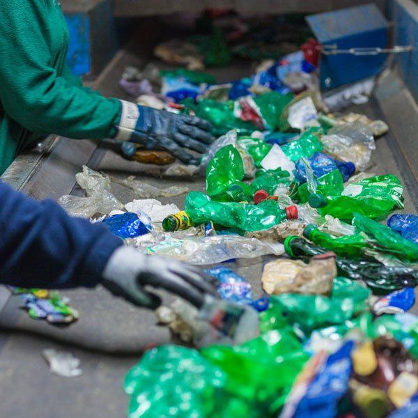 Icona sostenibilità