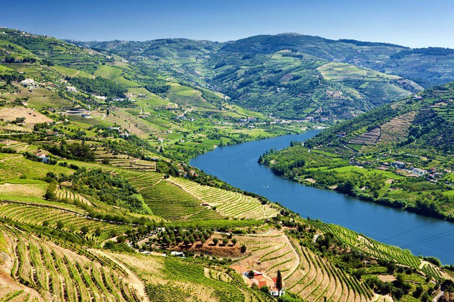 Portugal wine country