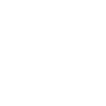 White Divider