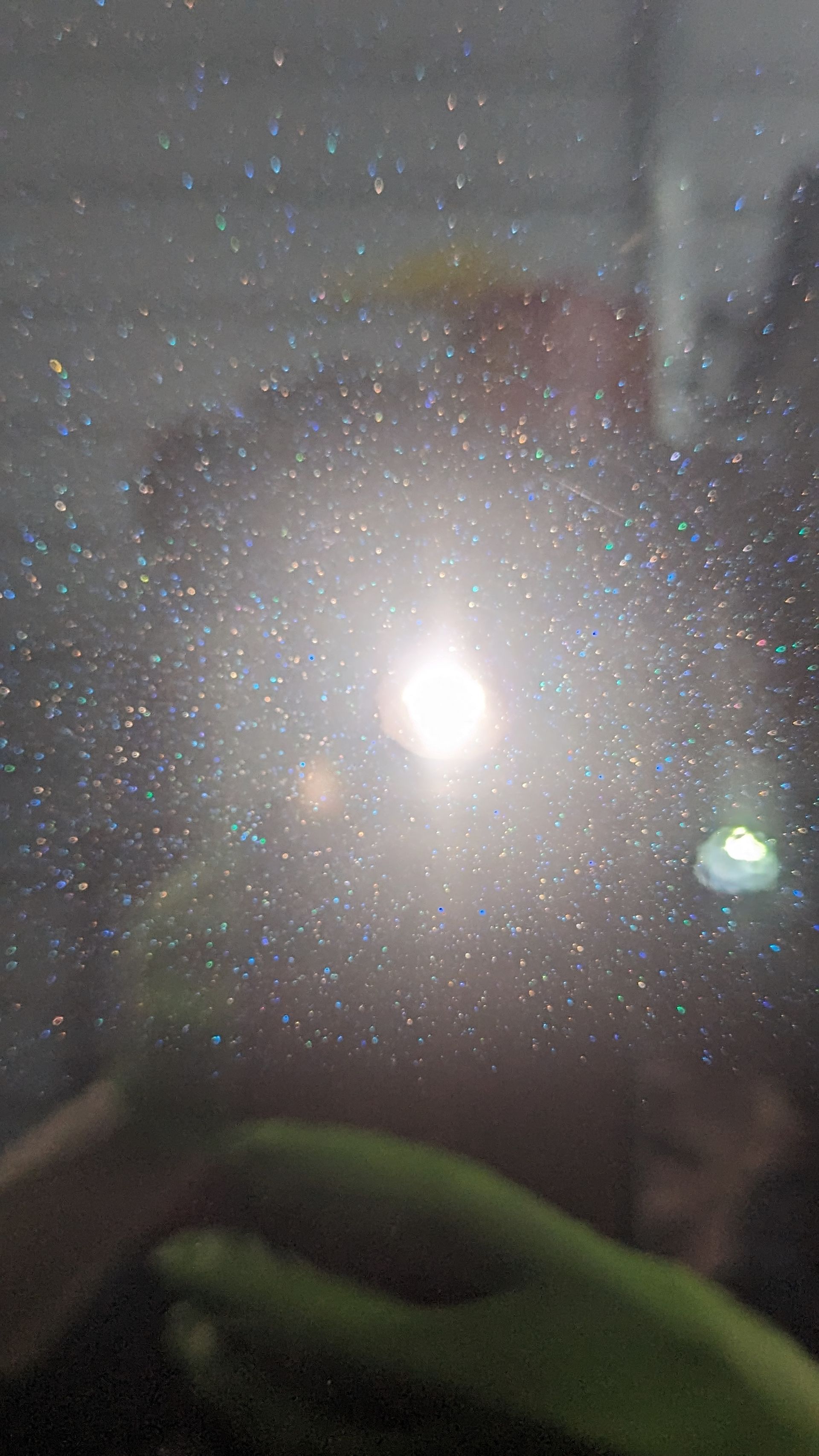 Bright light surrounded by shimmering particles, with a blurred green object in the foreground.