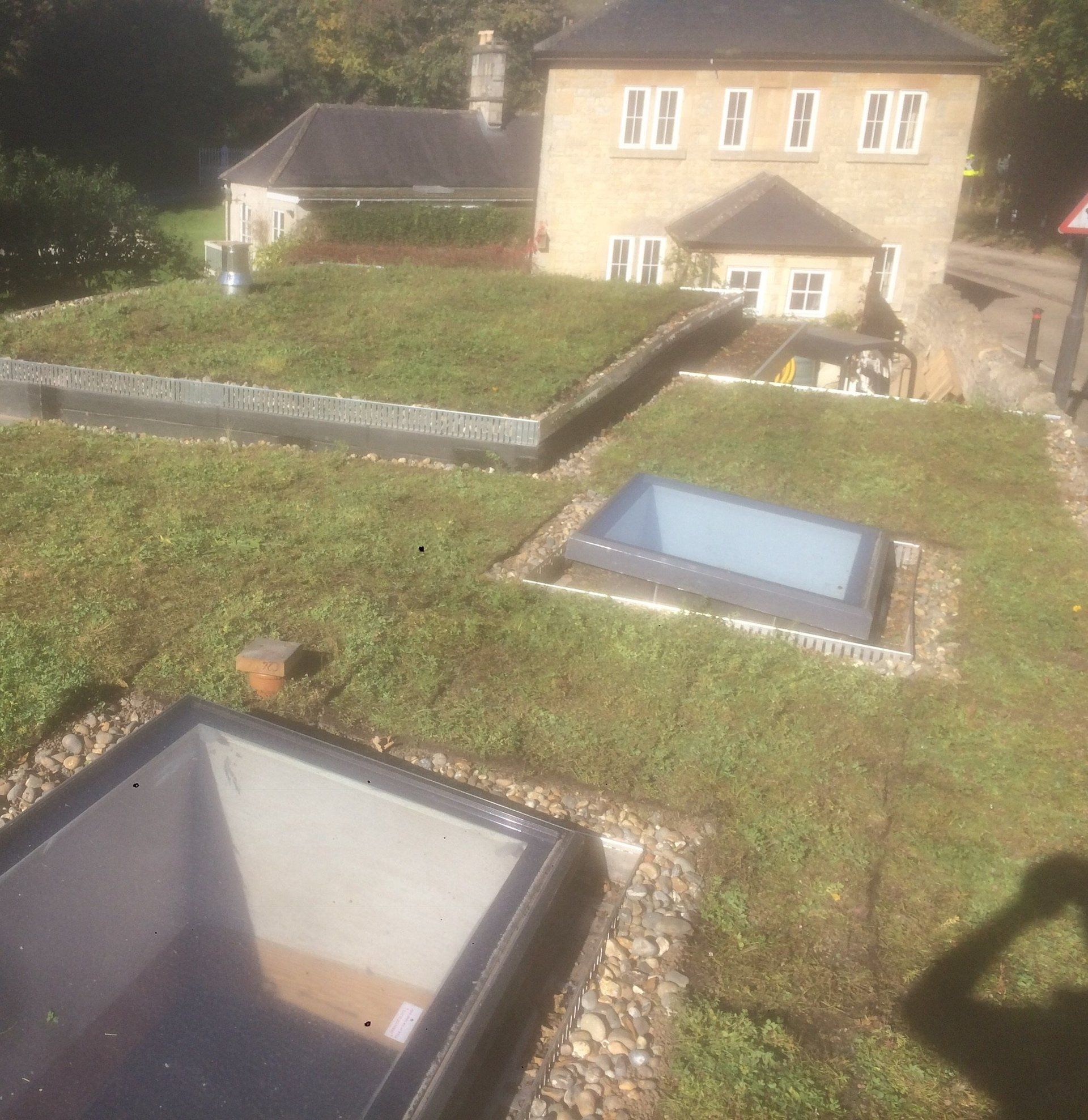 'living'flat roof with windows