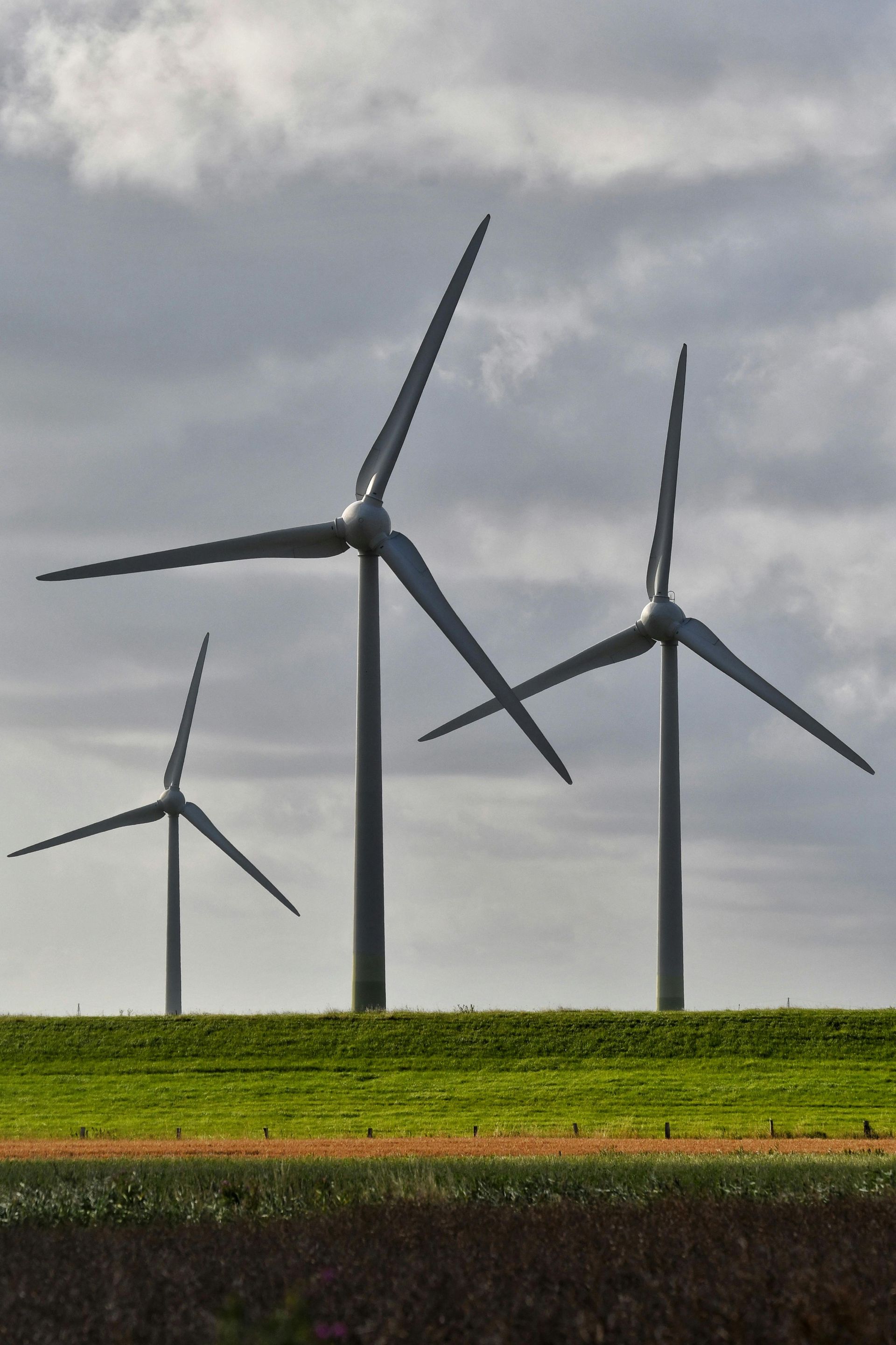 Economic development and sector strategy