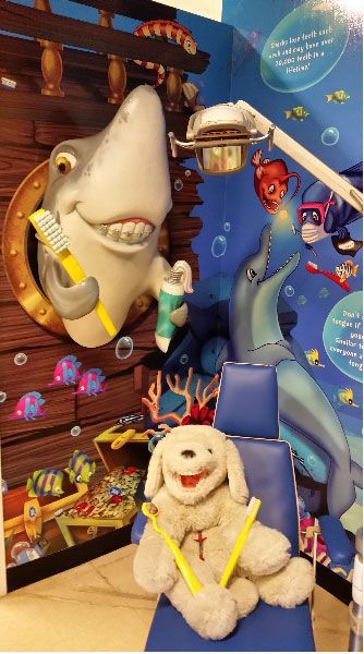 Pediatric Dentist gallery