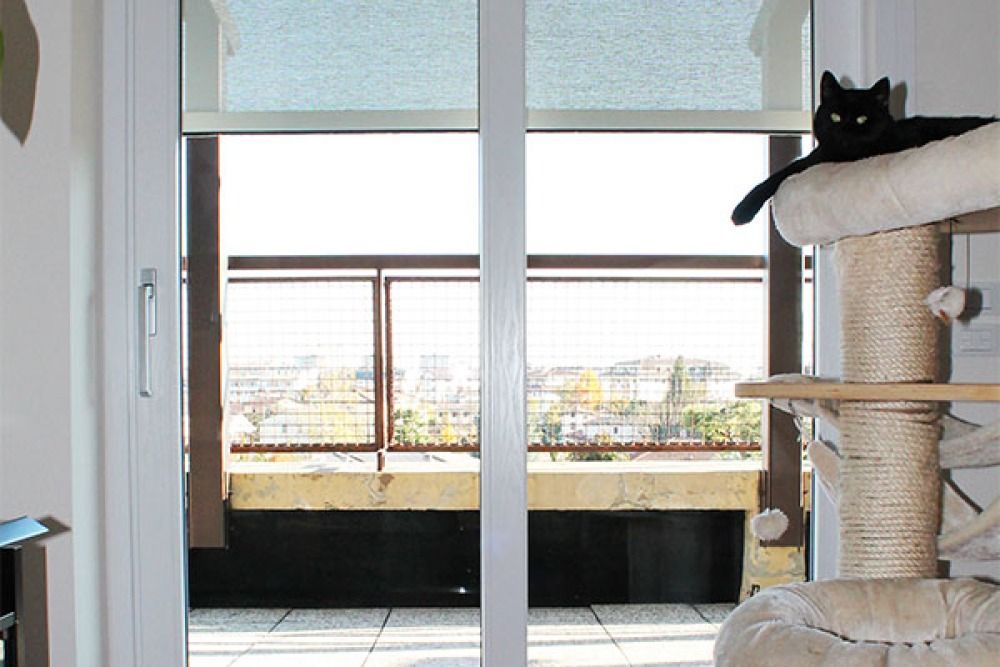 Gatto nero sdraiato su un tiragraffi, con vista su un balcone con vista sulla città.