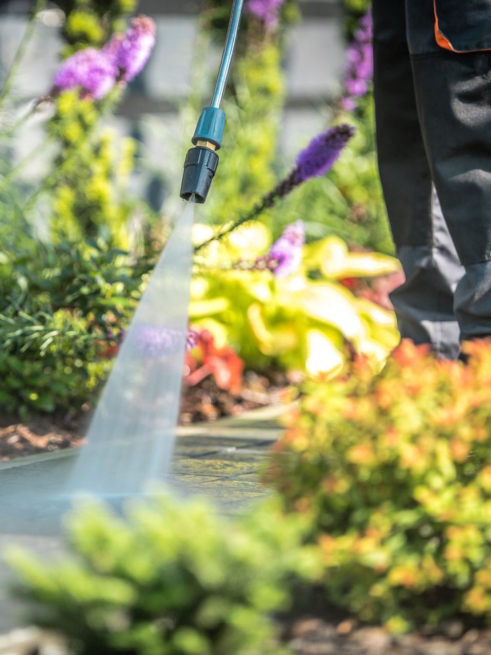 A person is using a high pressure washer to clean a sidewalk in a garden.