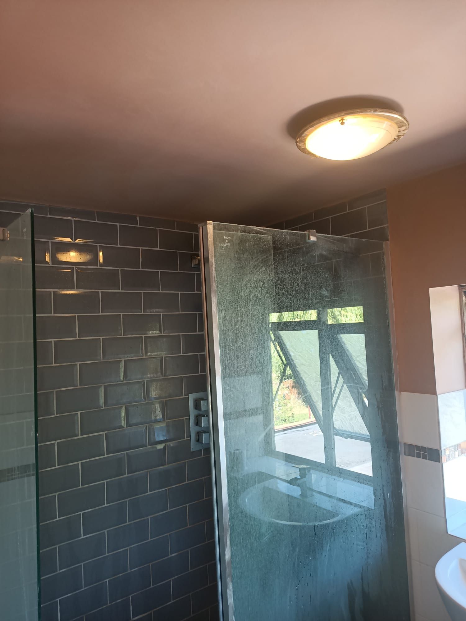 A bathroom with a walk in shower and a sink.