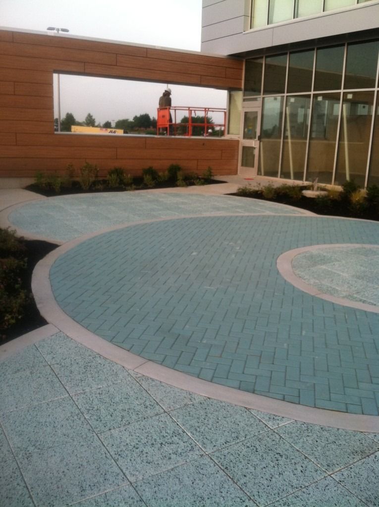 Curved blue-tiled courtyard with a wooden wall, glass entrance, and landscaped building exterior