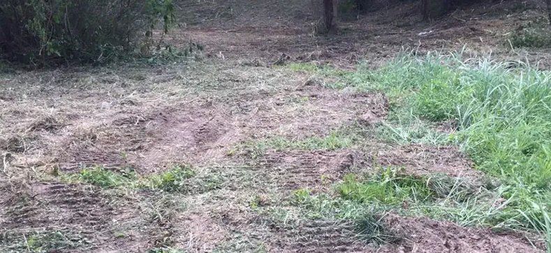 brush clearing & gravel hauling in the Carmine, TX area