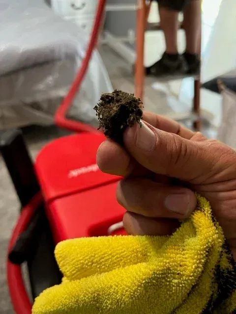 A person holds a small, dark, fuzzy clump of debris between their fingers above a bright red vacuum cleaner and a cloth.
