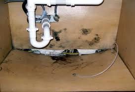 Absent+Owner+Inspection-3