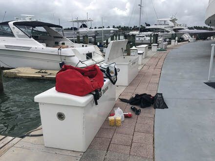 Dock+Inspection-1
