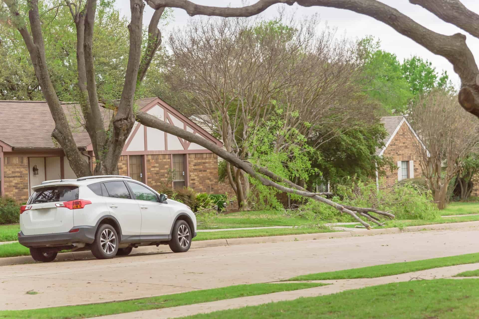 How do Wind Speeds Affect The Risk Of Home Damage?  - Certified Inspectors